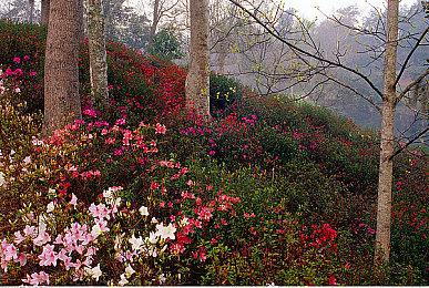 《铁路帝国2》2023年发售 将拥有洲际大地图